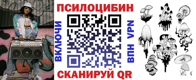 Галлюциногенные грибы Psilocybe закладка Чегем